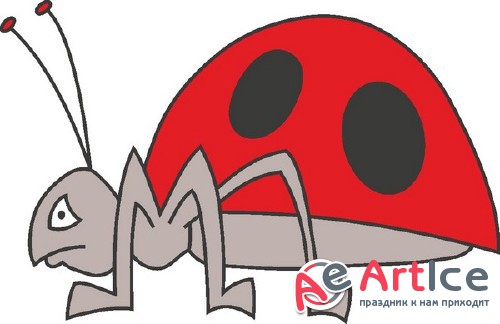   (  )