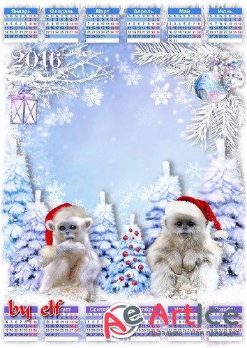    2016      - , ,  