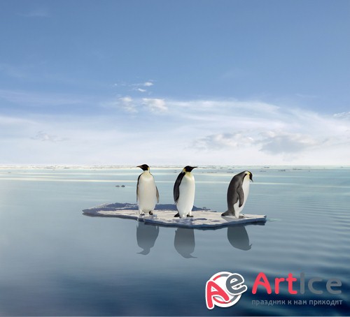 �������� - ����� ���������� (��������)