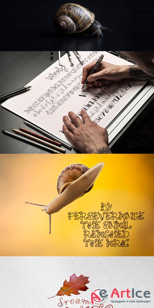 Wooby Script Typeface - Creativemarket 506841