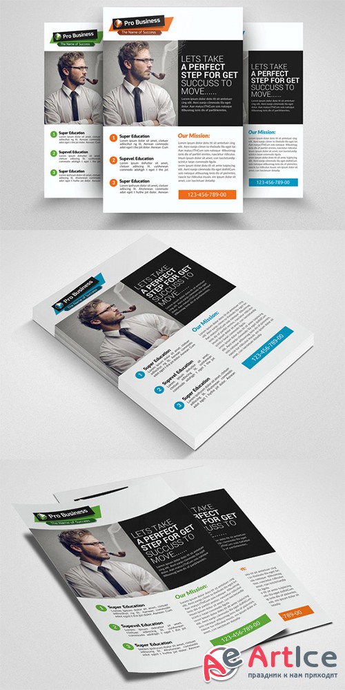 Business Analyst Flyer Template - Creativemarket 553061
