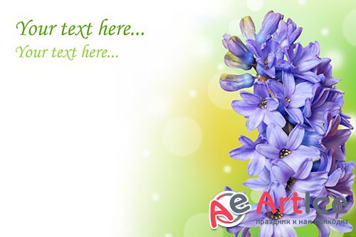 ��������� ������� - ����� 5