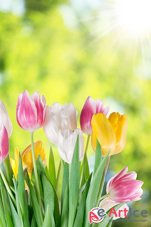 ��������� ������� - ����� 5