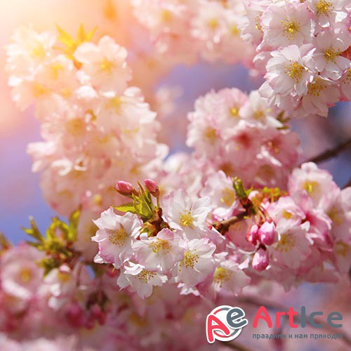 ��������� ������� - ����� 5