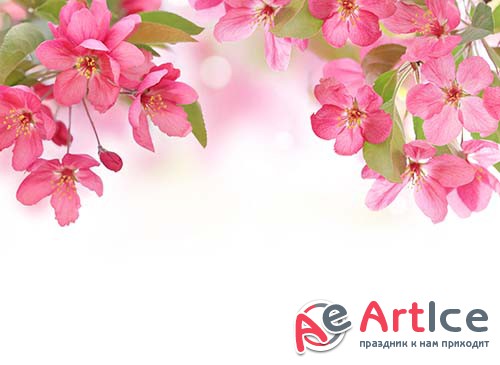 ��������� ������� - ����� 13