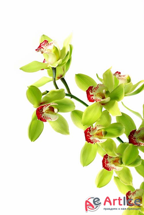 ��������� ������� - ����� 13