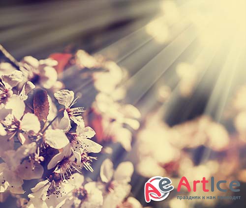 ��������� ������� - ����� 13