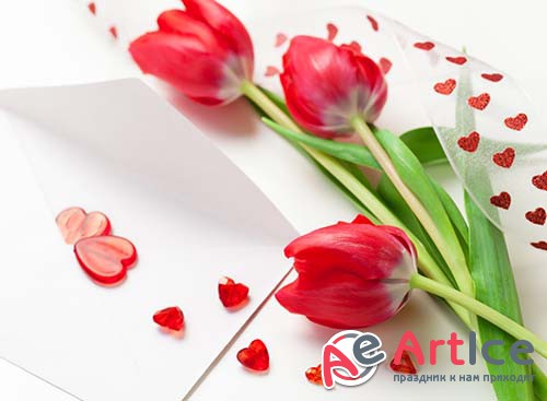 ��������� ������� - ����� 13