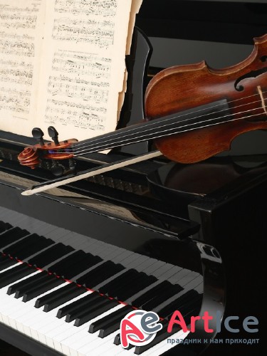 Violin (musical instrument) the images