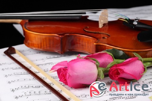 Violin (musical instrument) the images