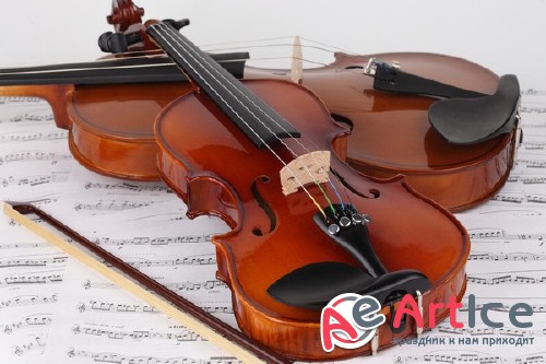 Violin (musical instrument) the images