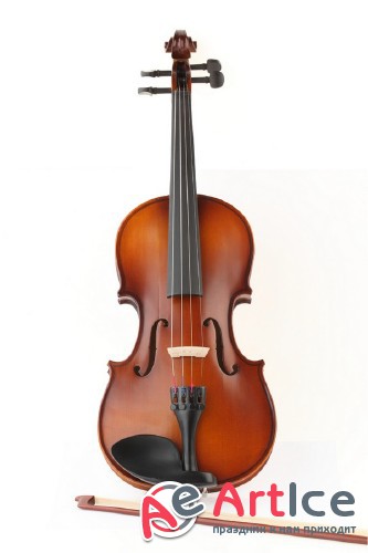 Violin (musical instrument) the images