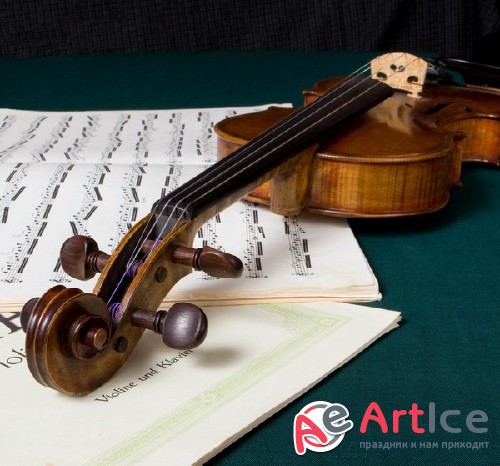 Violin (musical instrument) the images