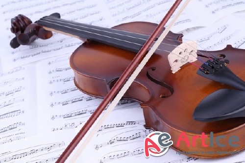 Violin (musical instrument) the images