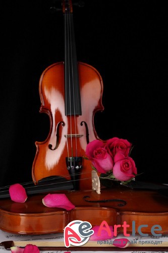 Violin (musical instrument) the images