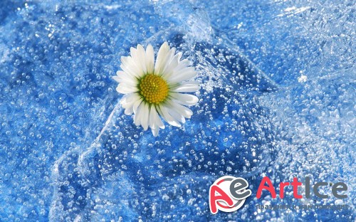 Wallpapers Mixed Pack #266