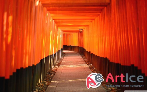 Wallpapers Mixed Pack #11