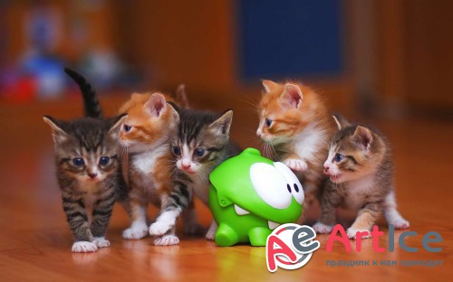 Wallpapers Mixed Pack #11