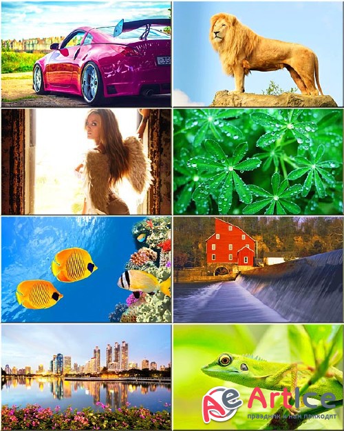Best Mixed Wallpapers Pack #130