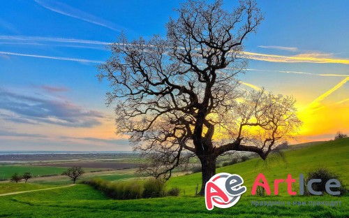 Best Mixed Wallpapers Pack #268
