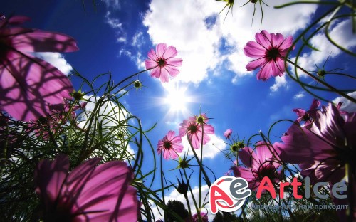 Best Mixed Wallpapers Pack #268