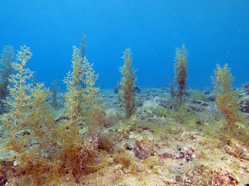 ��������� ������� - ��������� ��� 12