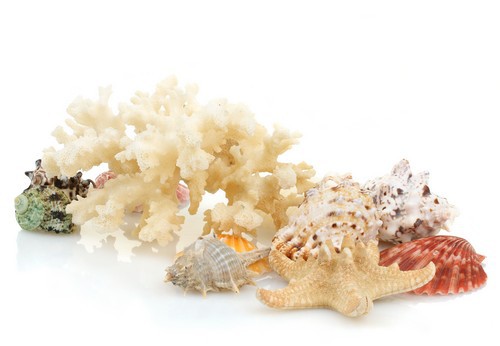 ��������� ������� - ��������� ��� 12