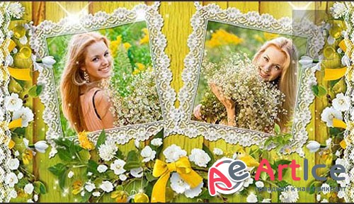   ProShow Producer -  - 44