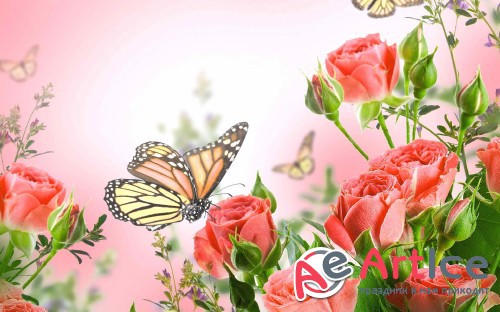 Best Mixed Wallpapers Pack #24