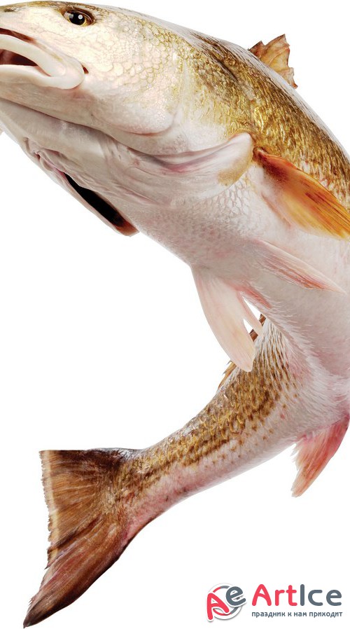   9:  