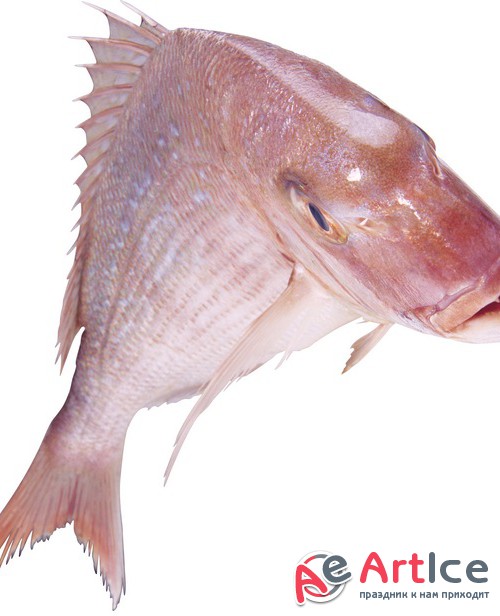   9:  