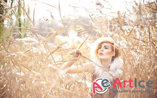 Best Wallpapers Mixed Pack #109