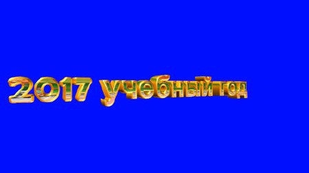    - 2017  