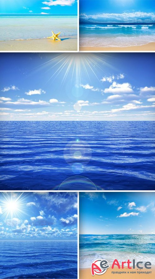 , , ,  ( )