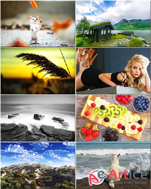 Best Mixed Wallpapers Pack #159