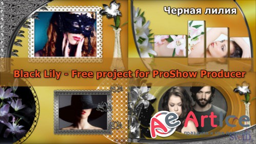   ProShow Producer -  