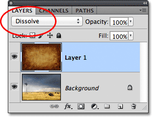   ?   PHOTOSHOP