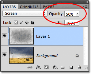   ?   PHOTOSHOP