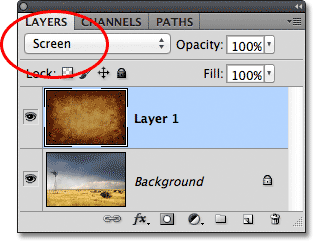  ?   PHOTOSHOP