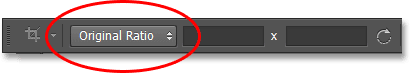      PHOTOSHOP CS6?
