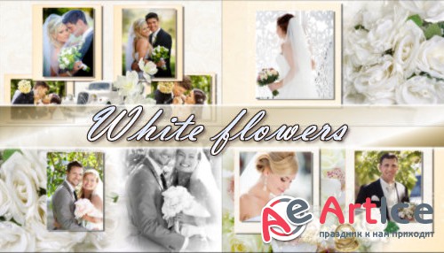 White flowers - project for ProShow Producer