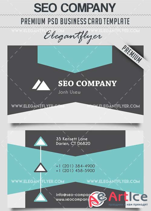 Seo Company V2 Business Card Templates PSD