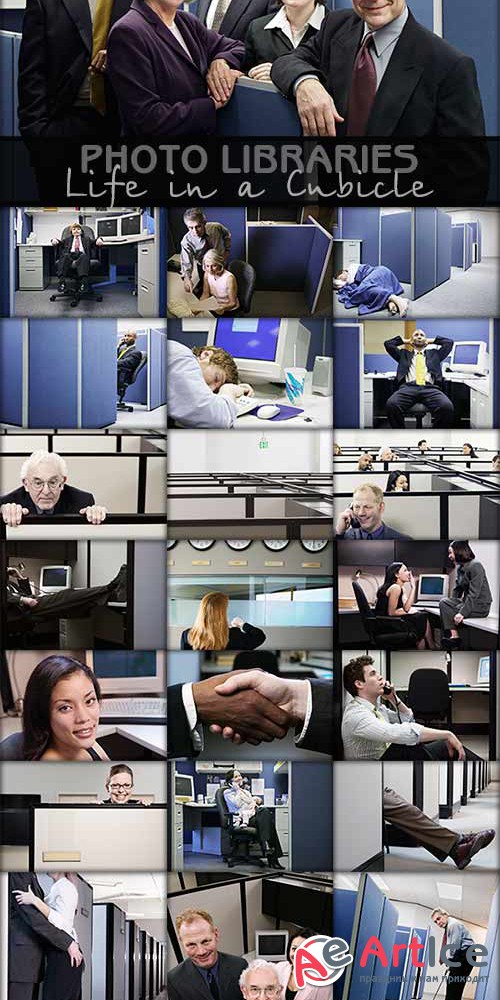 Life in a Cubicle