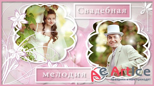   -   ProShow Producer