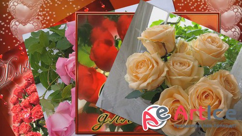  ProShow Producer -  ,     