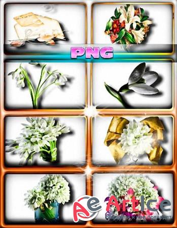  png - 
