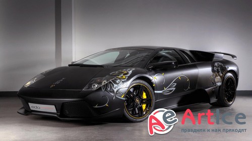 ������ ���� ���� �� ������� ����