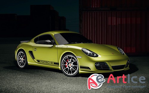 ������ ���� ���� �� ������� ����