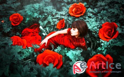 Wallpapers Mixed Pack 49