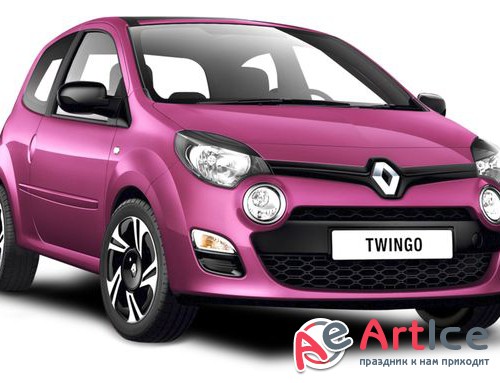   RENAULT ( )